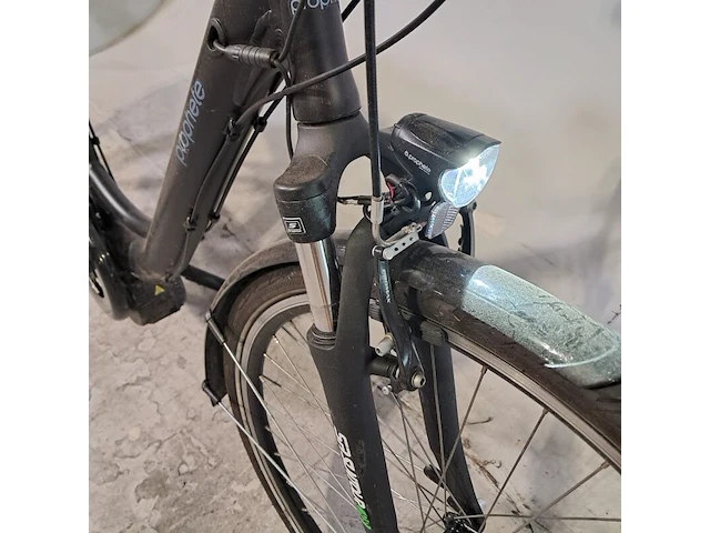 Elektrische damesfiets, prophete, 2023 - afbeelding 16 van  20