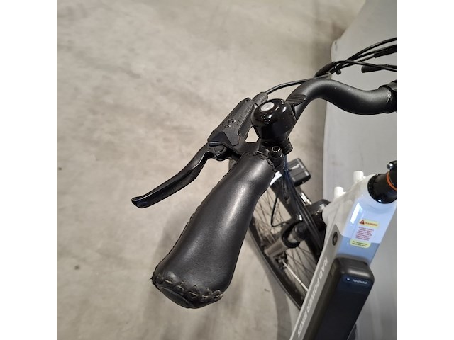 Elektrische damesfiets, rad power bikes, radcity 5 plus, wit / zwart - afbeelding 13 van  23