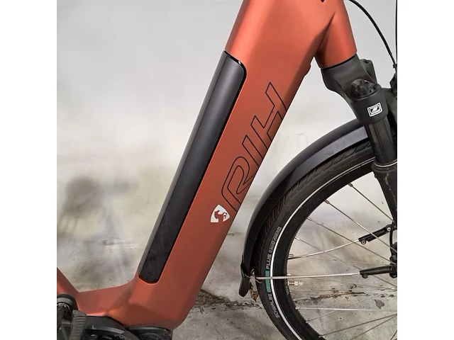 Elektrische damesfiets, rih - afbeelding 2 van  19
