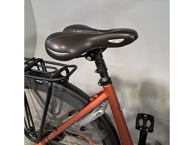 Elektrische damesfiets, rih - afbeelding 4 van  19