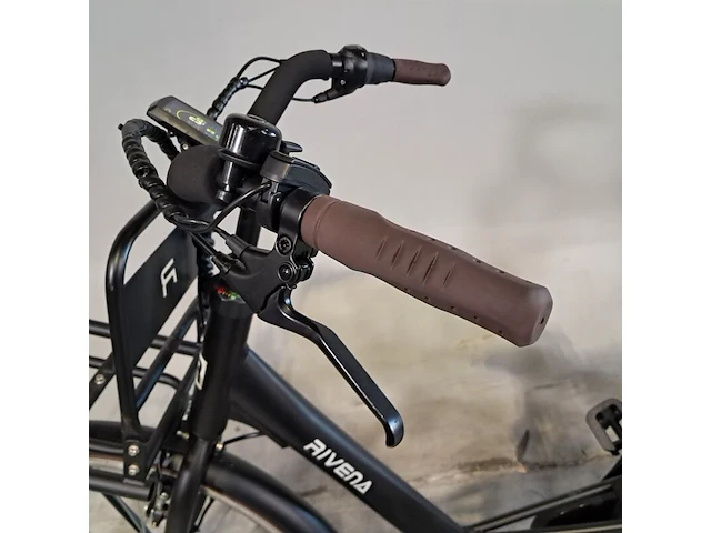 Elektrische damesfiets, rivena, dolce - afbeelding 15 van  15