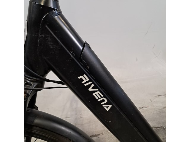 Elektrische damesfiets, rivena, e-performance - afbeelding 10 van  16