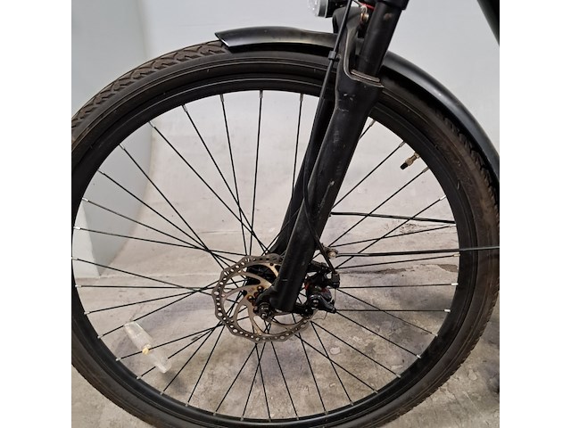 Elektrische damesfiets, rivena, e-performance - afbeelding 11 van  16