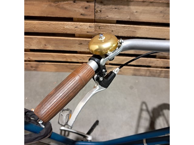 Elektrische damesfiets, roetz, blauw - afbeelding 15 van  17