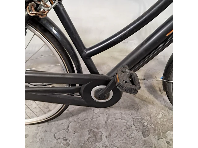 Elektrische damesfiets, sparta, marathon - afbeelding 3 van  19