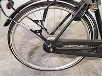 Elektrische damesfiets, sparta, marathon - afbeelding 5 van  19