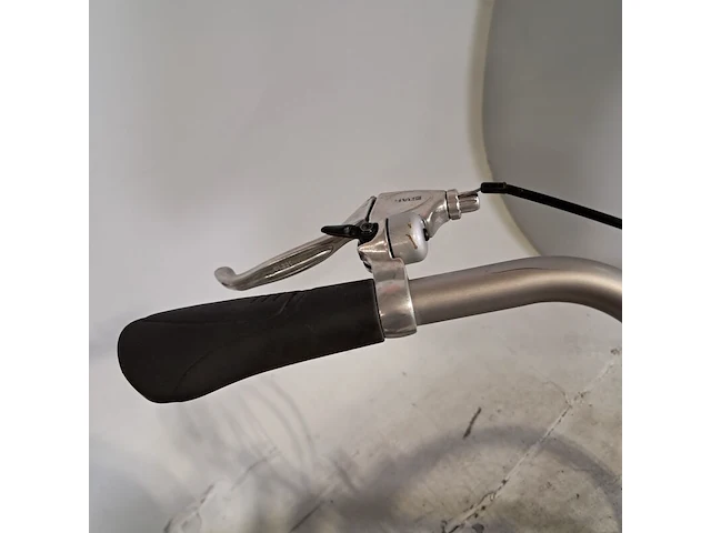 Elektrische damesfiets, sparta, marathon - afbeelding 17 van  19