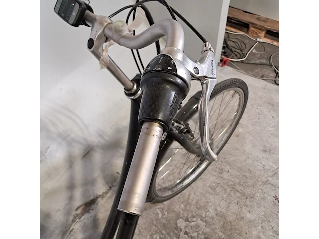 Elektrische damesfiets, sparta, marathon - afbeelding 19 van  19