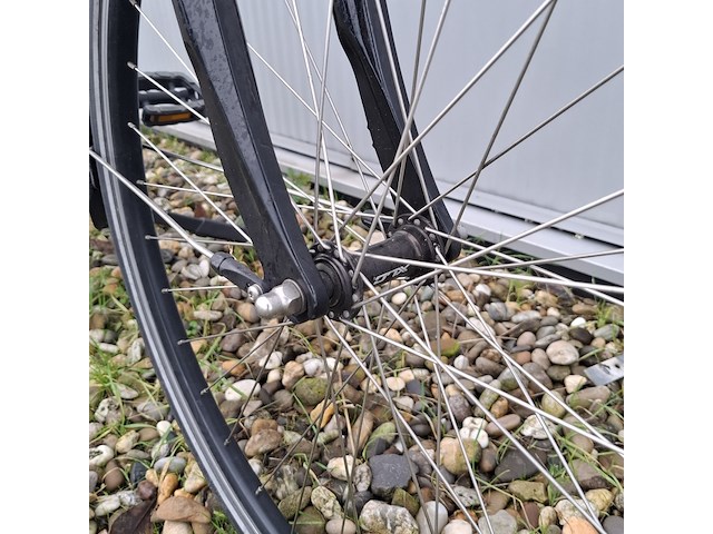 Elektrische damesfiets, sparta, r5e, grijs / chroom, 2018 - afbeelding 18 van  22