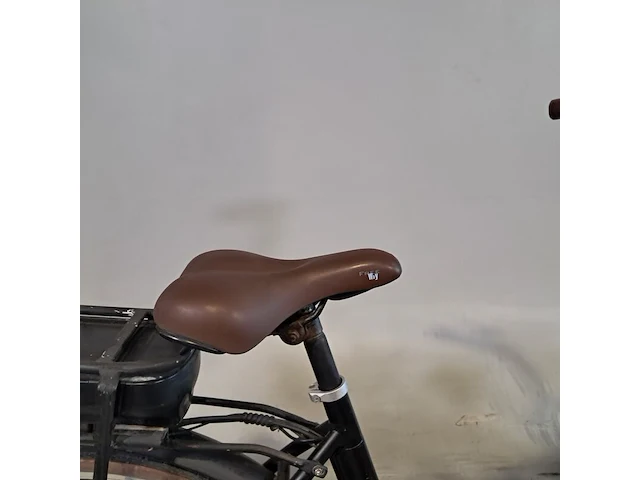 Elektrische damesfiets, spirit, e-carry - afbeelding 2 van  12