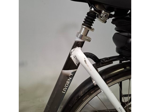 Elektrische damesfiets, stella, livorno - afbeelding 10 van  15