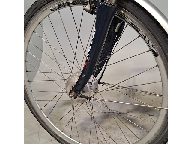 Elektrische damesfiets, stella, vicenza - afbeelding 9 van  12