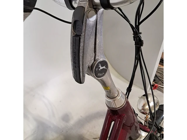 Elektrische damesfiets, stella, vicenza - afbeelding 3 van  20