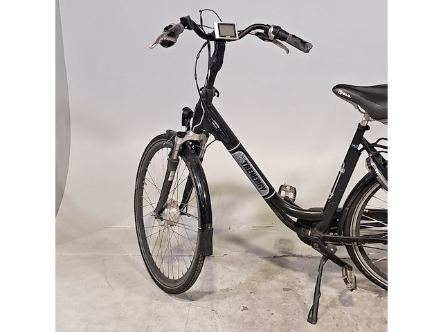 Elektrische damesfiets, trenergy, e relax pro - afbeelding 6 van  14