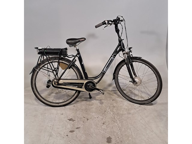 Elektrische damesfiets, trenergy, e relax pro - afbeelding 1 van  14