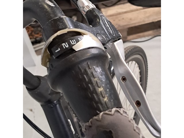 Elektrische damesfiets, trenergy, e relax pro - afbeelding 12 van  14