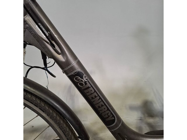 Elektrische damesfiets, trenergy, relax pro - afbeelding 7 van  13
