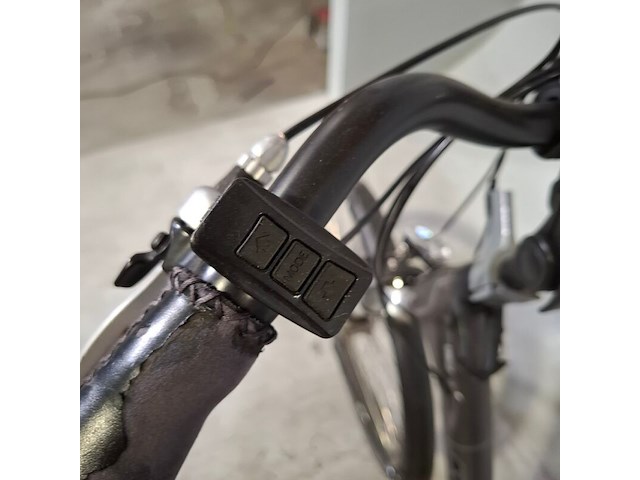 Elektrische damesfiets, trenergy, relax pro - afbeelding 12 van  13