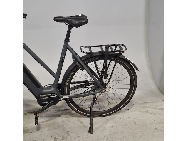 Elektrische damesfiets, van dijck, kalii - afbeelding 5 van  15