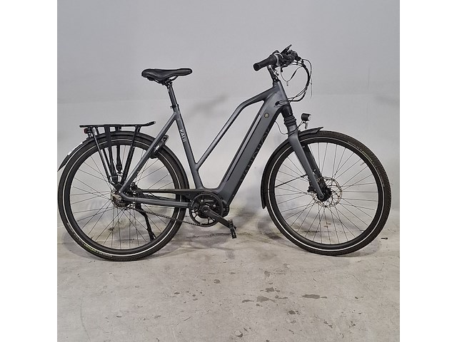 Elektrische damesfiets, van dijck, kalii - afbeelding 1 van  15