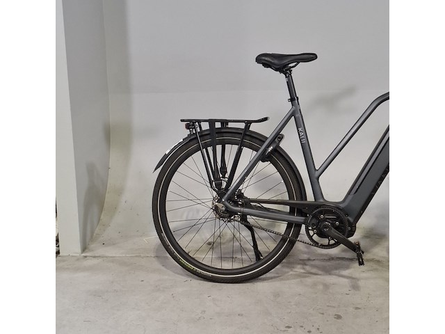 Elektrische damesfiets, van dijck, kalii - afbeelding 8 van  15