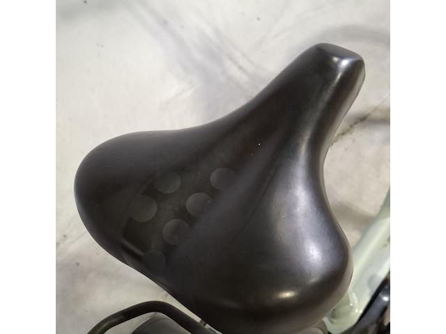 Elektrische damesfiets, velo de ville, premium ceb400 - afbeelding 16 van  17