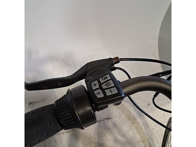 Elektrische damesfiets, veloci - afbeelding 3 van  11