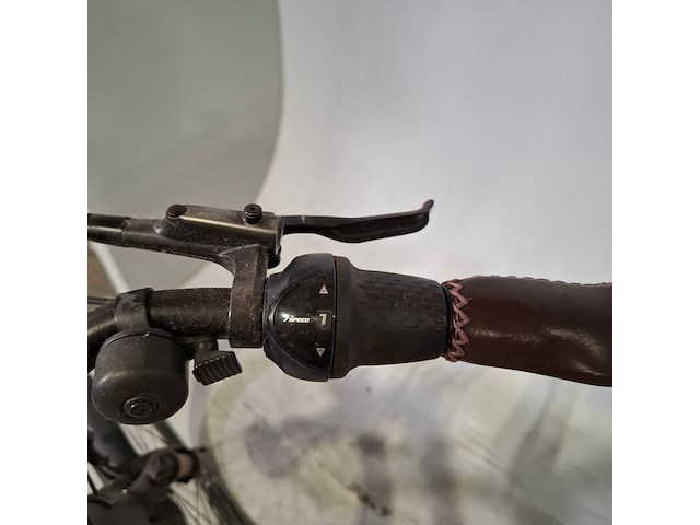 Elektrische damesfiets, victesse, melville - afbeelding 14 van  15