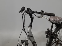 Elektrische damesfiets, victoria, grenoble se - afbeelding 13 van  20