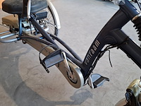 Elektrische driewieler, van raam, easy rider, blauw, 2017 - afbeelding 7 van  29