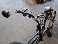 Elektrische driewieler, van raam, easy rider, blauw, 2017 - afbeelding 10 van  29