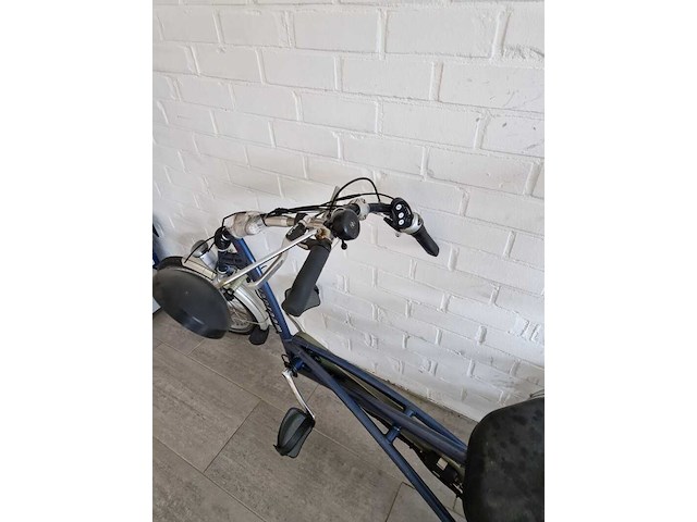 Elektrische driewieler, van raam, easy rider, blauw, 2017 - afbeelding 18 van  29