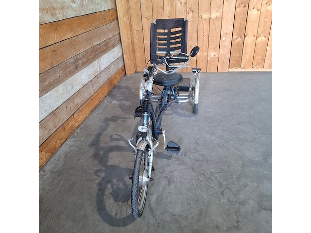 Elektrische driewieler, van raam, easy rider, blauw, 2017 - afbeelding 24 van  29