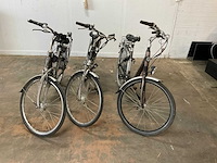 Elektrische fiets (3x) - afbeelding 3 van  11
