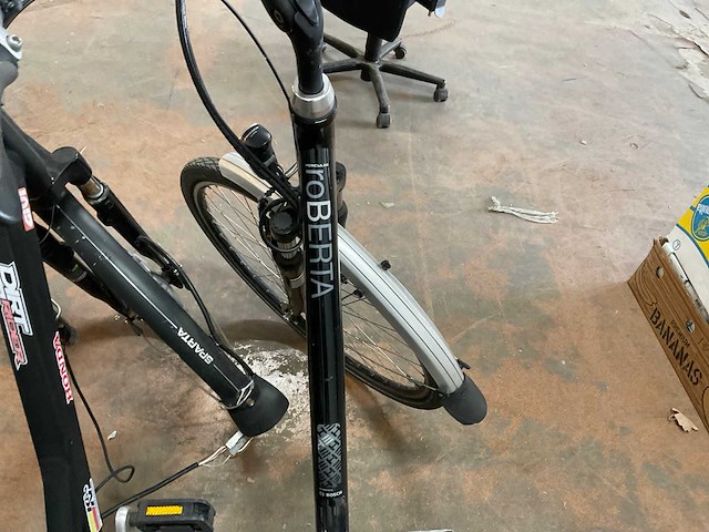 Elektrische fiets (3x) - afbeelding 4 van  14