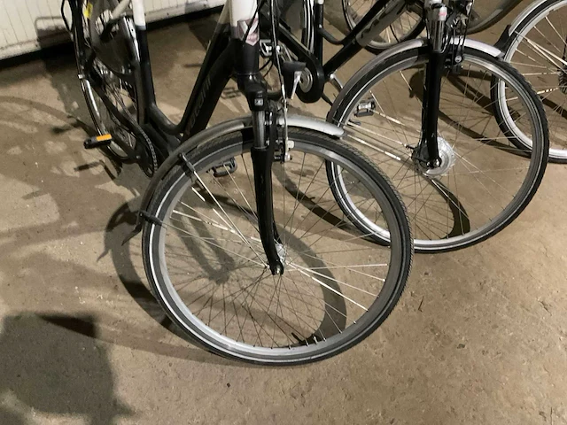 Elektrische fiets (3x) - afbeelding 19 van  19