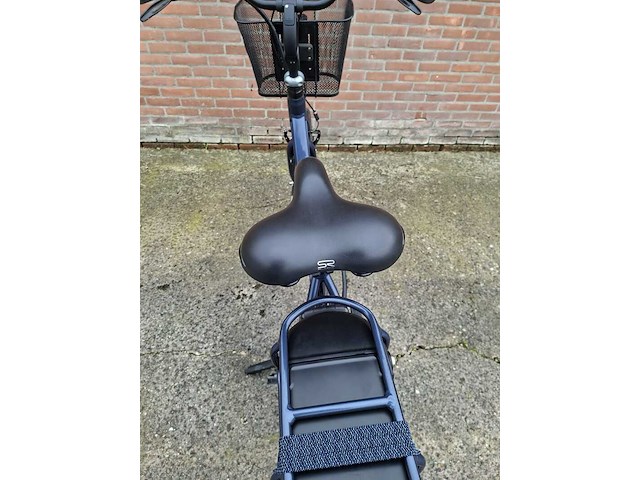 Elektrische fiets, batavus, entree - afbeelding 8 van  26