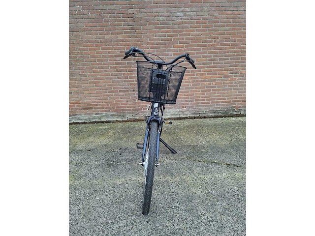 Elektrische fiets, batavus, entree - afbeelding 21 van  26