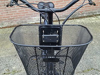 Elektrische fiets, batavus, entree - afbeelding 26 van  26