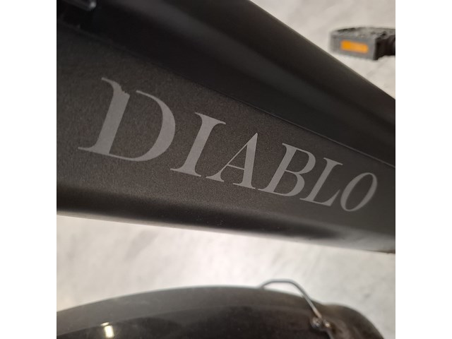 Elektrische fiets, diablo - afbeelding 18 van  25
