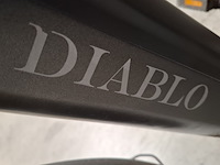 Elektrische fiets, diablo - afbeelding 18 van  25