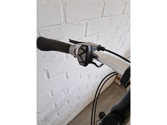 Elektrische fiets / e-bike, flyer, middenmotor, zwart - afbeelding 20 van  27