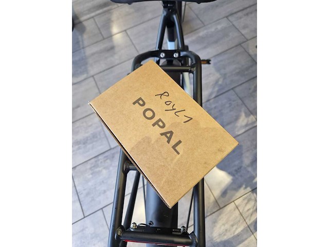 Elektrische fiets / e-bike, popal, royl1, zwart, 2025 - afbeelding 29 van  37