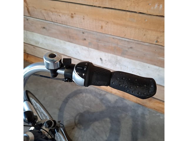 Elektrische fiets / e-bike, prolithium, daily driver, blauw - afbeelding 7 van  29