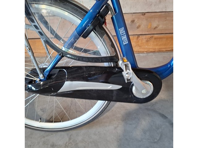 Elektrische fiets / e-bike, prolithium, daily driver, blauw - afbeelding 11 van  29