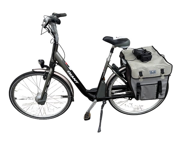 Elektrische fiets, giant, twist - afbeelding 1 van  18