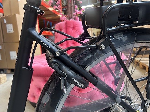 Elektrische fiets hoogte 50 pointer, ducora, mat zwart - afbeelding 8 van  14