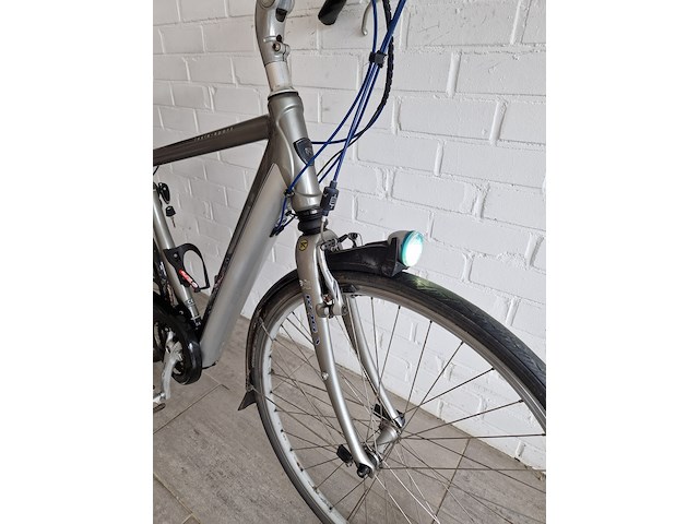 Elektrische fiets, koga, e-tesla, grijs / chroom - afbeelding 4 van  10