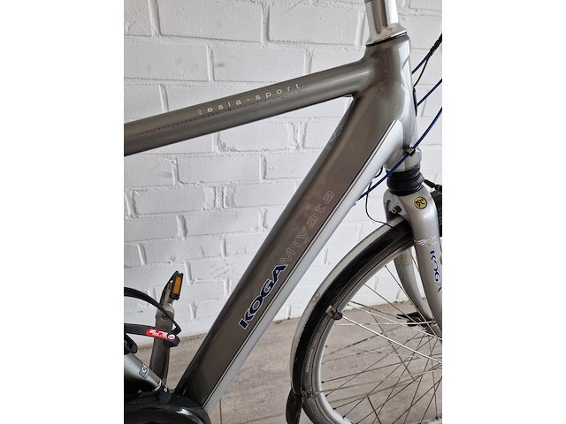 Elektrische fiets, koga, e-tesla, grijs / chroom - afbeelding 5 van  10