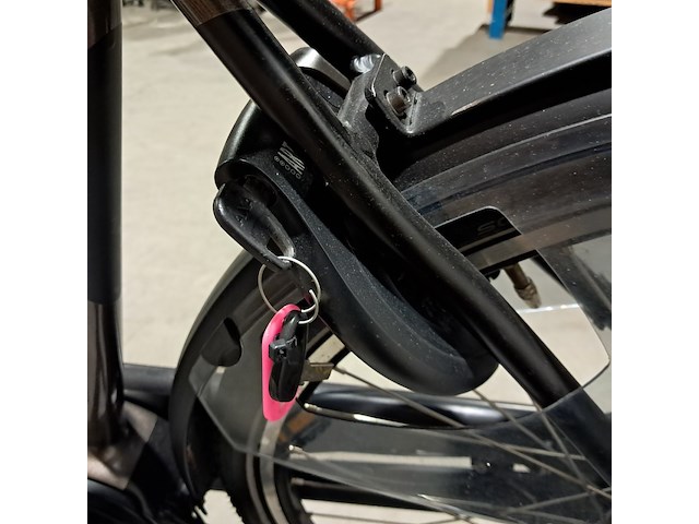 Elektrische fiets, lugano, elo tour - afbeelding 3 van  14